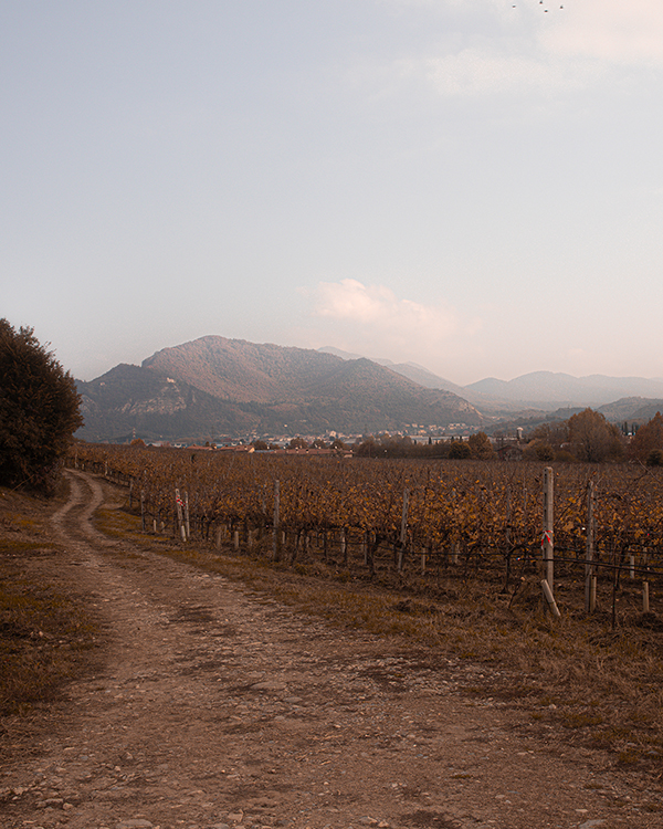 Sosta con tè caldo e panini durante la Franciacorta Gravel 2.5